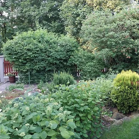 Apartment Apartman Na Vysluni Bela pod Bezdezem